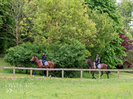 CH290522-4 - Charlie Hills Stable Visit